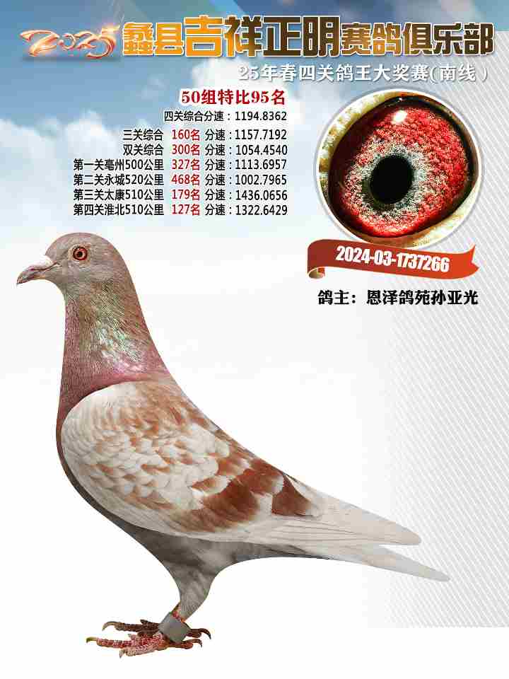 测试特比95号