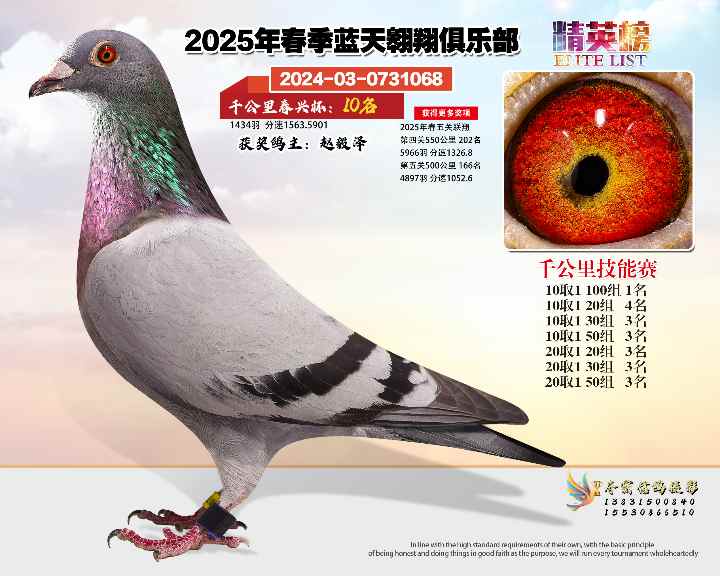 蓝天翱翔千公里10号