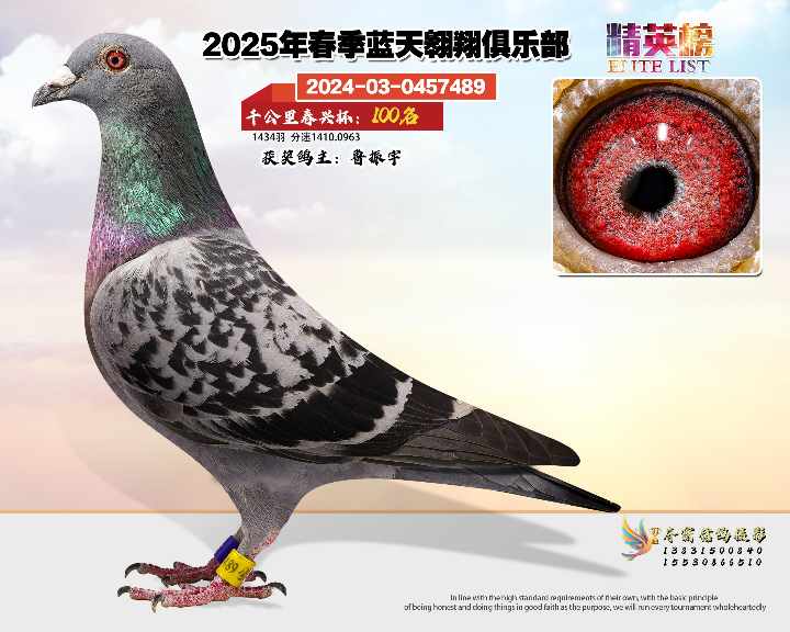 蓝天翱翔千公里100号