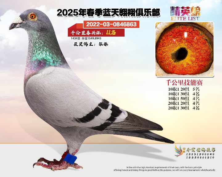 蓝天翱翔千公里11号