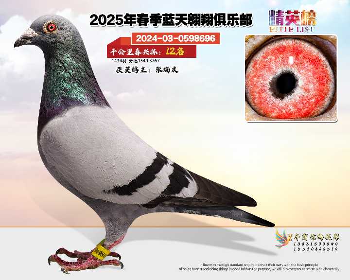 蓝天翱翔千公里12号