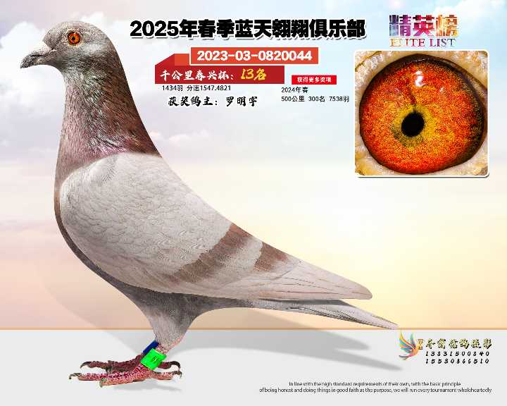 蓝天翱翔千公里13号