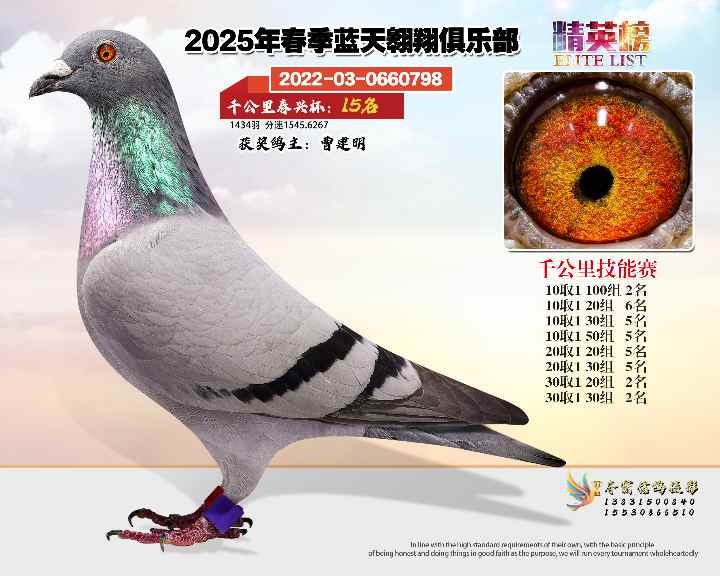 蓝天翱翔千公里15号
