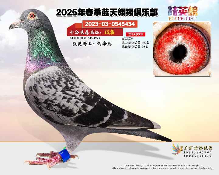 蓝天翱翔千公里16号