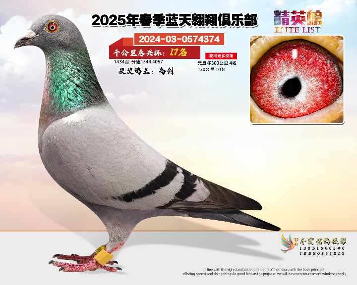 蓝天翱翔千公里17号