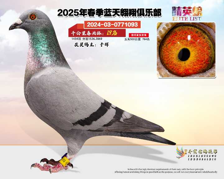 蓝天翱翔千公里19号