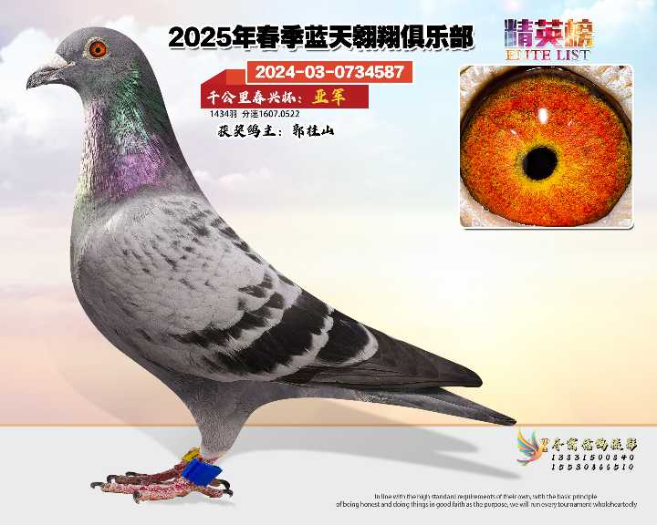 蓝天翱翔千公里2号