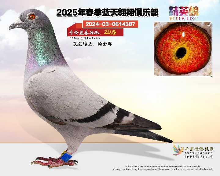 蓝天翱翔千公里20号