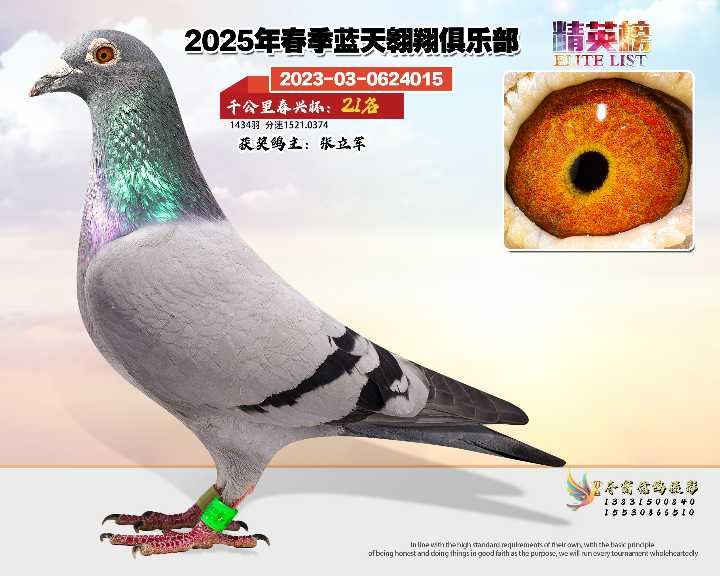 蓝天翱翔千公里21号