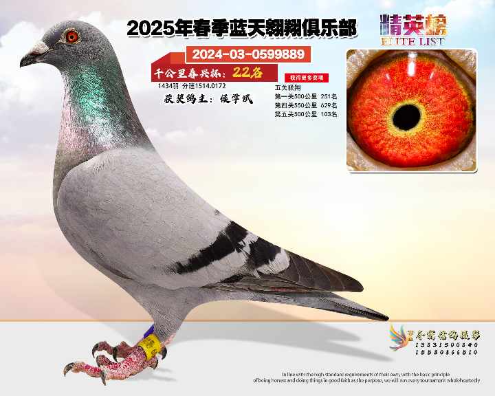 蓝天翱翔千公里22号