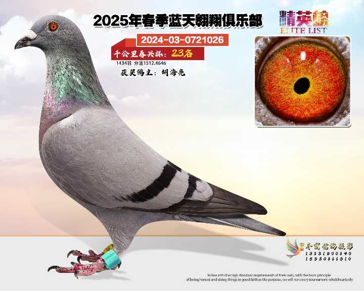蓝天翱翔千公里23号