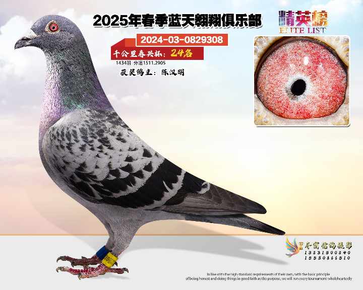 蓝天翱翔千公里24号