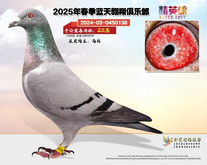蓝天翱翔千公里25号