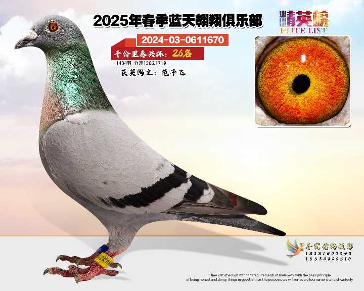 蓝天翱翔千公里26号