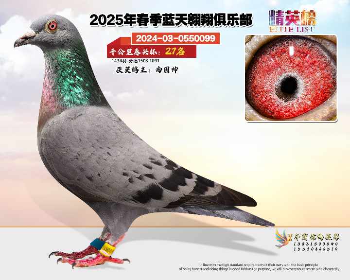 蓝天翱翔千公里27号