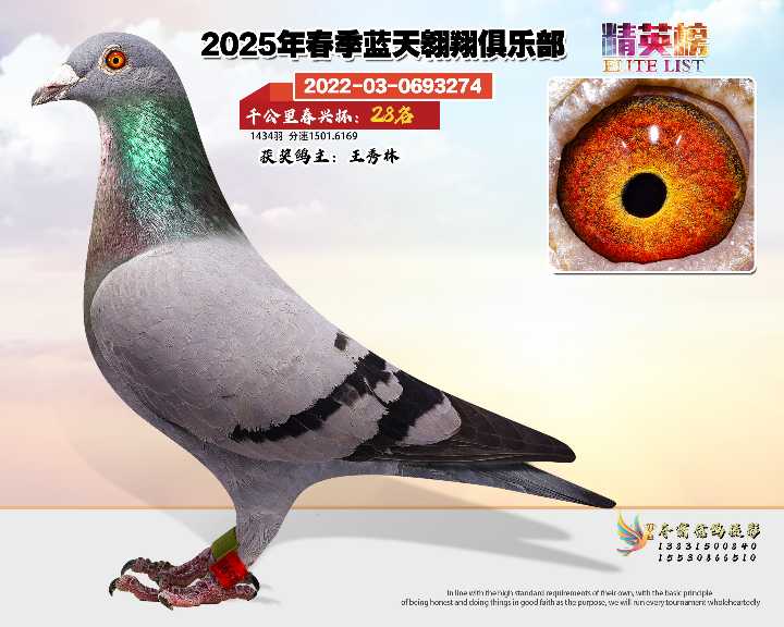 蓝天翱翔千公里28号