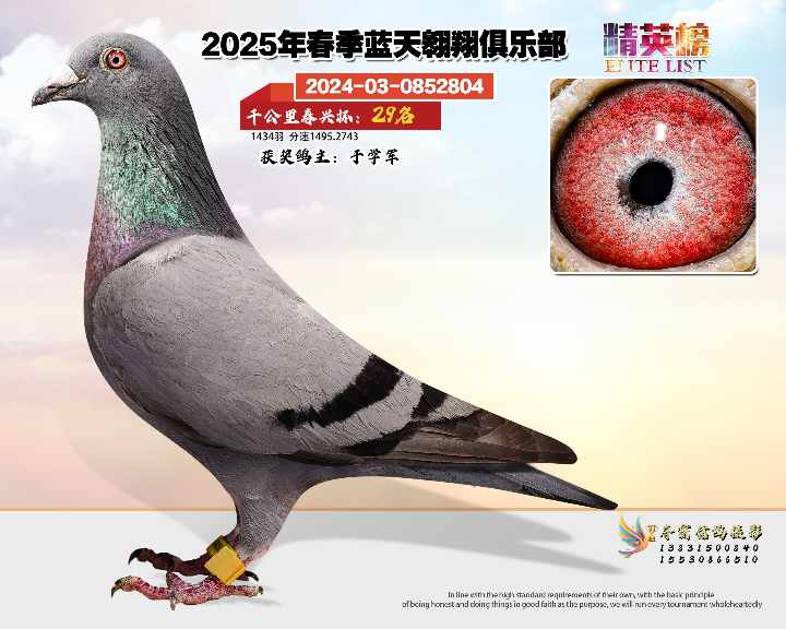 蓝天翱翔千公里29号