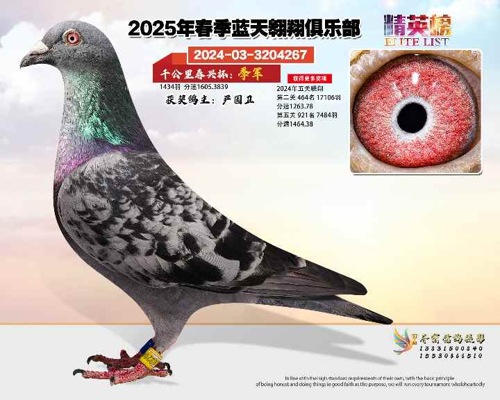 蓝天翱翔千公里3号
