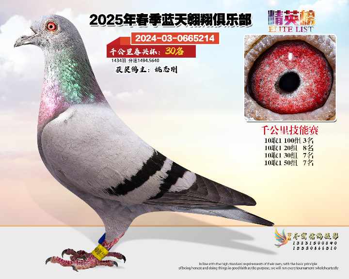 蓝天翱翔千公里30号