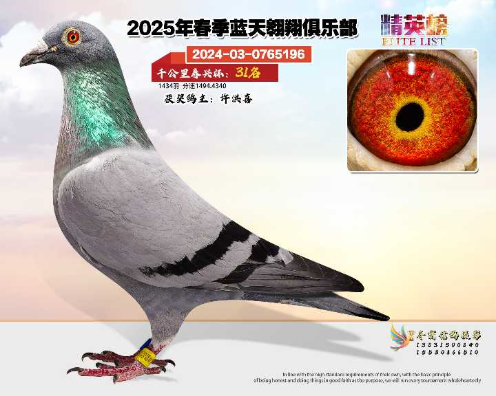 蓝天翱翔千公里31号