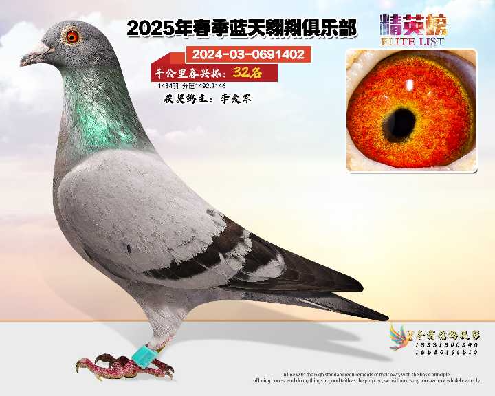蓝天翱翔千公里32号