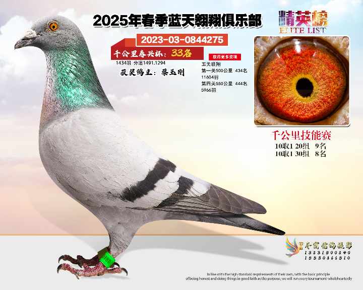 蓝天翱翔千公里33号