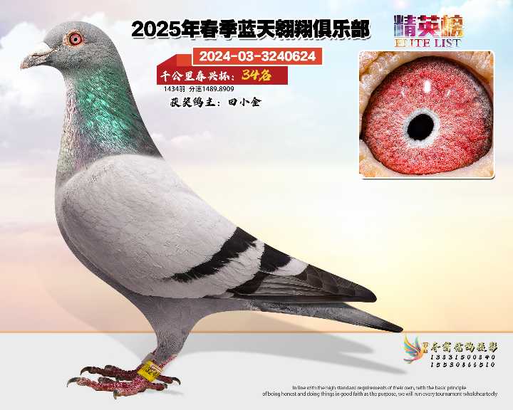 蓝天翱翔千公里34号