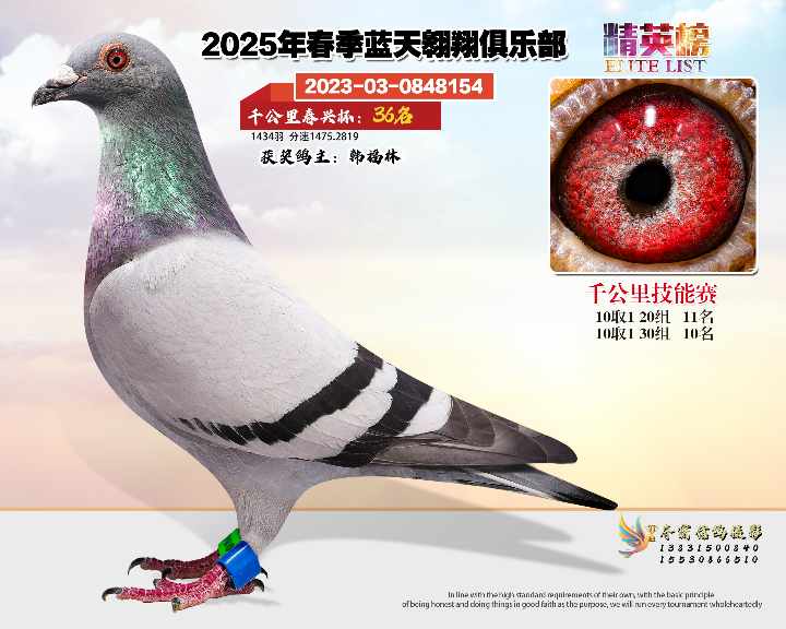 蓝天翱翔千公里36号