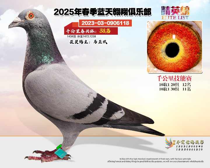 蓝天翱翔千公里38号
