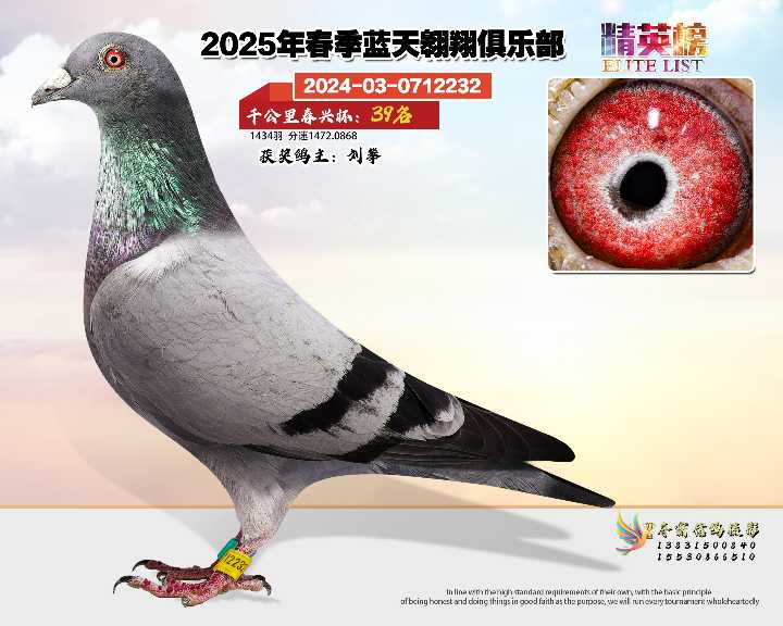 蓝天翱翔千公里39号