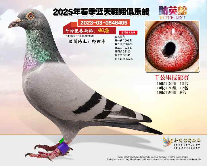 蓝天翱翔千公里40号