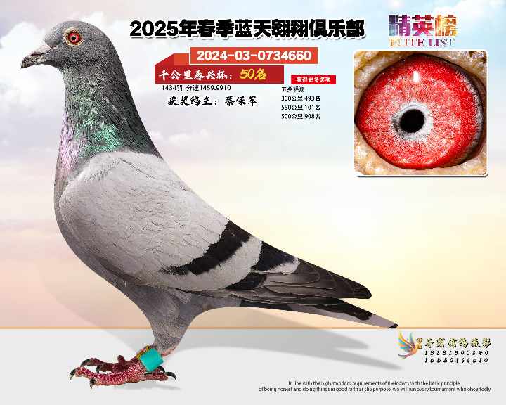 蓝天翱翔千公里50号