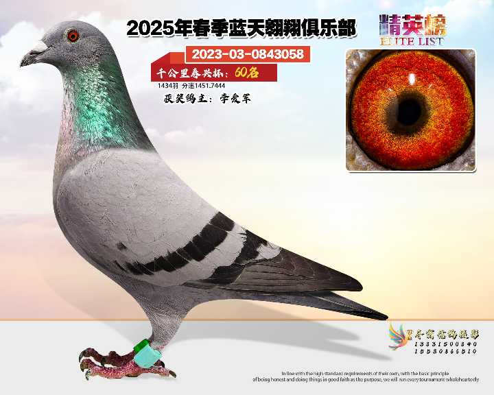 蓝天翱翔千公里60号