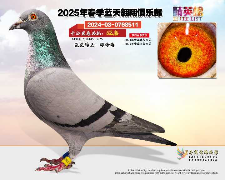 蓝天翱翔千公里62号