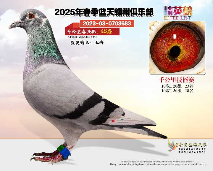 蓝天翱翔千公里65号