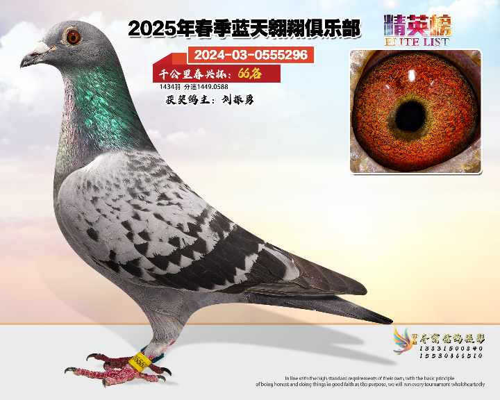 蓝天翱翔千公里66号