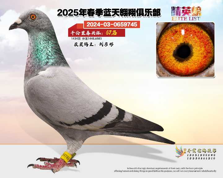 蓝天翱翔千公里67号