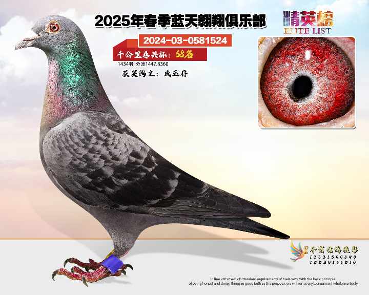 蓝天翱翔千公里68号