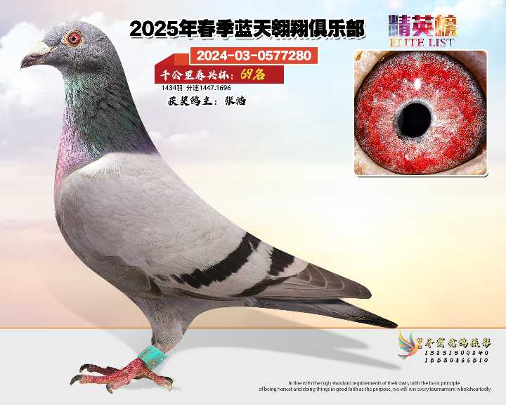 蓝天翱翔千公里69号