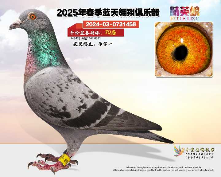 蓝天翱翔千公里70号