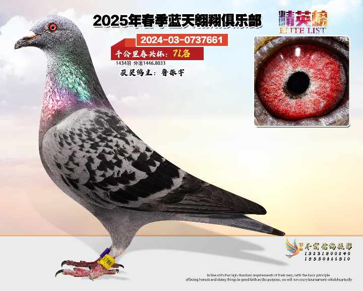 蓝天翱翔千公里71号