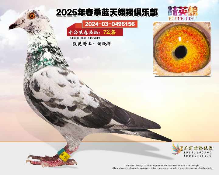 蓝天翱翔千公里72号