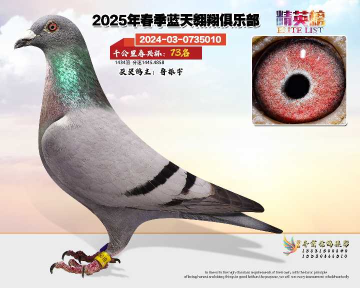 蓝天翱翔千公里73号