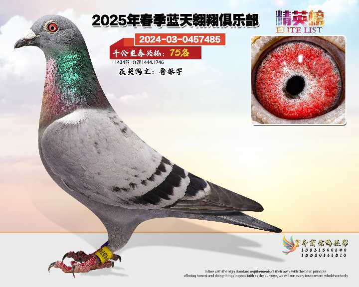 蓝天翱翔千公里75号