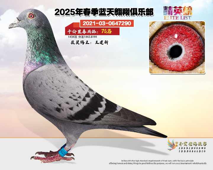 蓝天翱翔千公里76号
