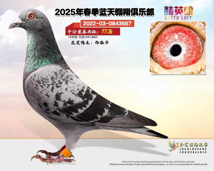 蓝天翱翔千公里77号
