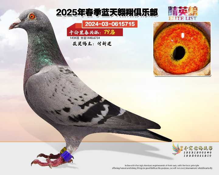 蓝天翱翔千公里79号