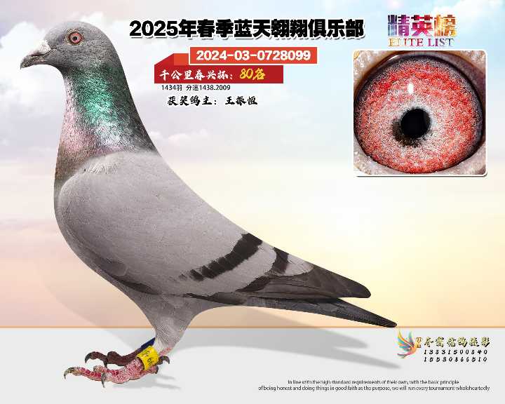 蓝天翱翔千公里80号