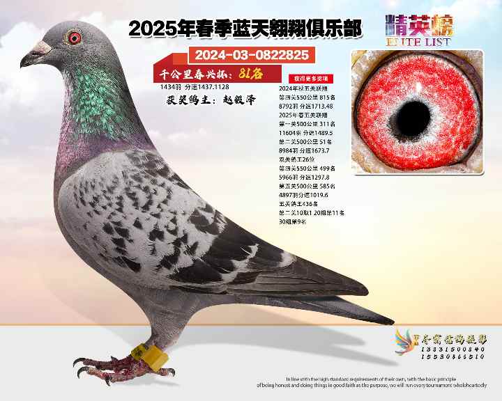 蓝天翱翔千公里81号