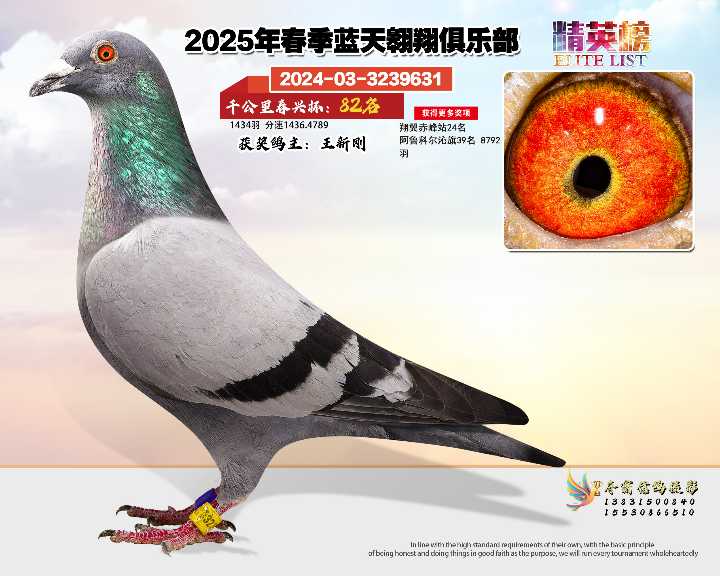 蓝天翱翔千公里82号